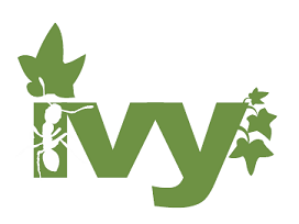 Ivy Dependency Manager